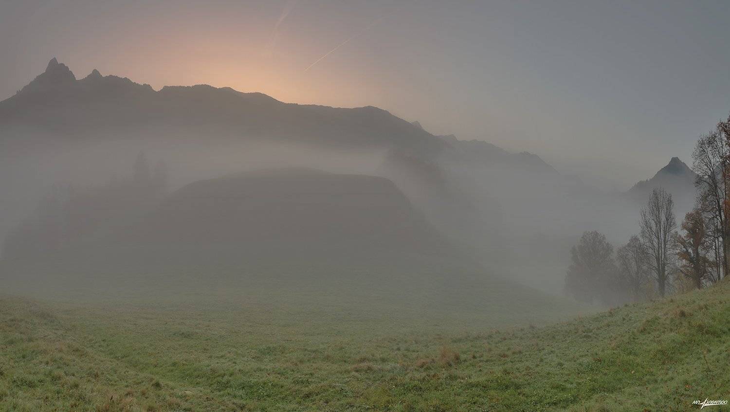 swiss, Матвеев Николай