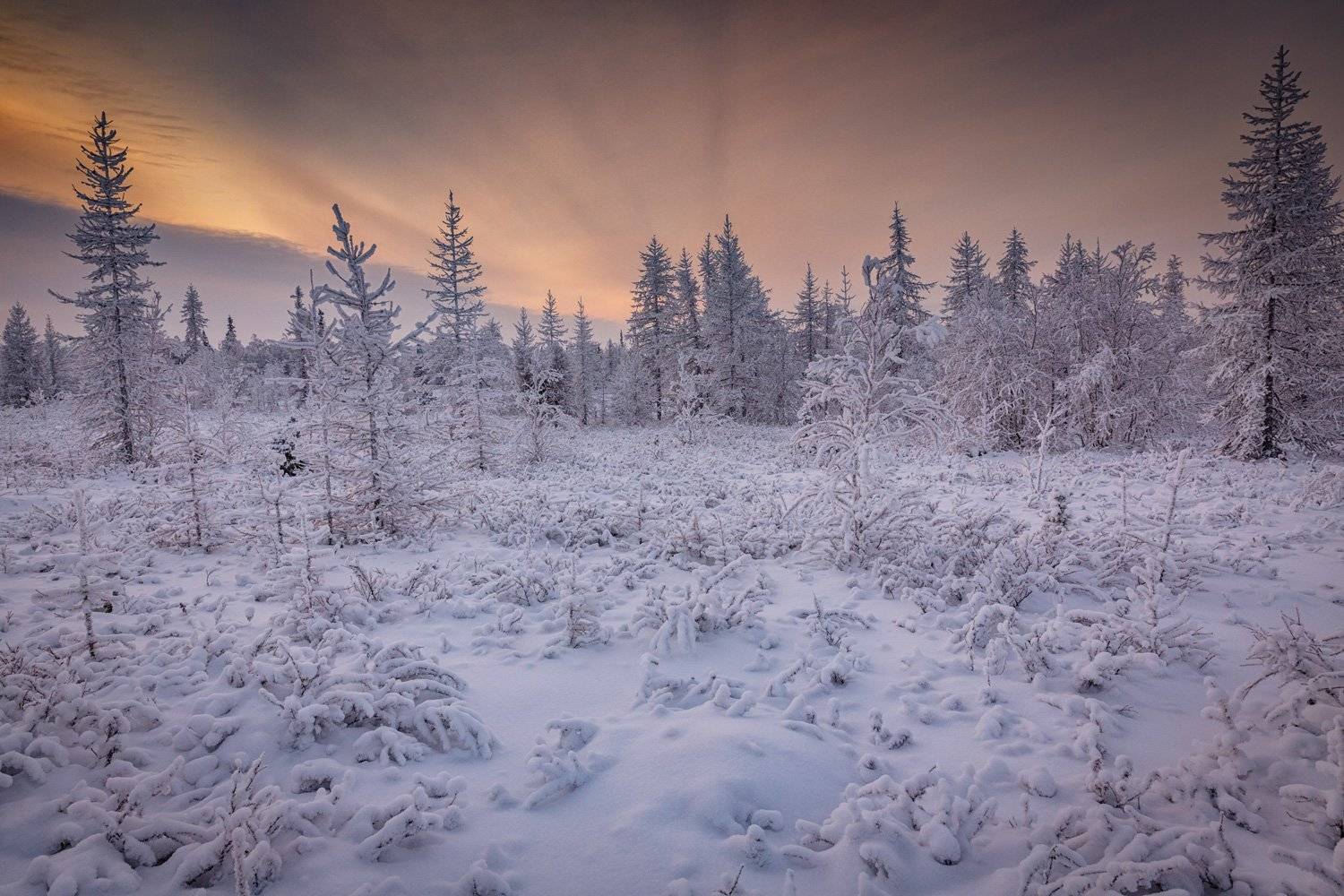 , Евгений Кужилев