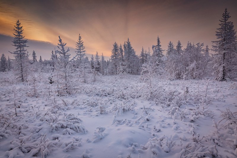 * * * фото превью