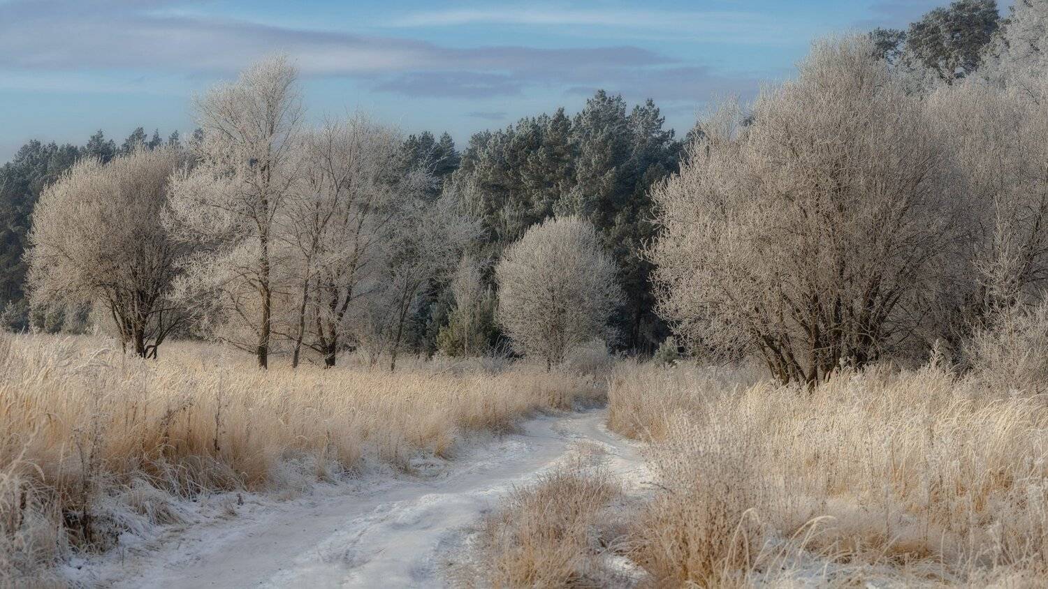 , Марат Кучкаев