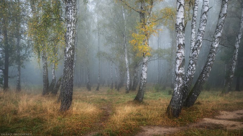 Посреди осени