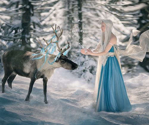 Winter farytale