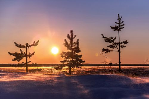 Ветреный восход