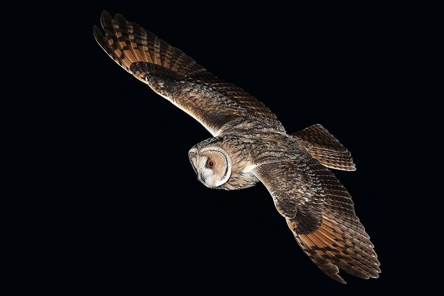 , Вячеслав Ладанов