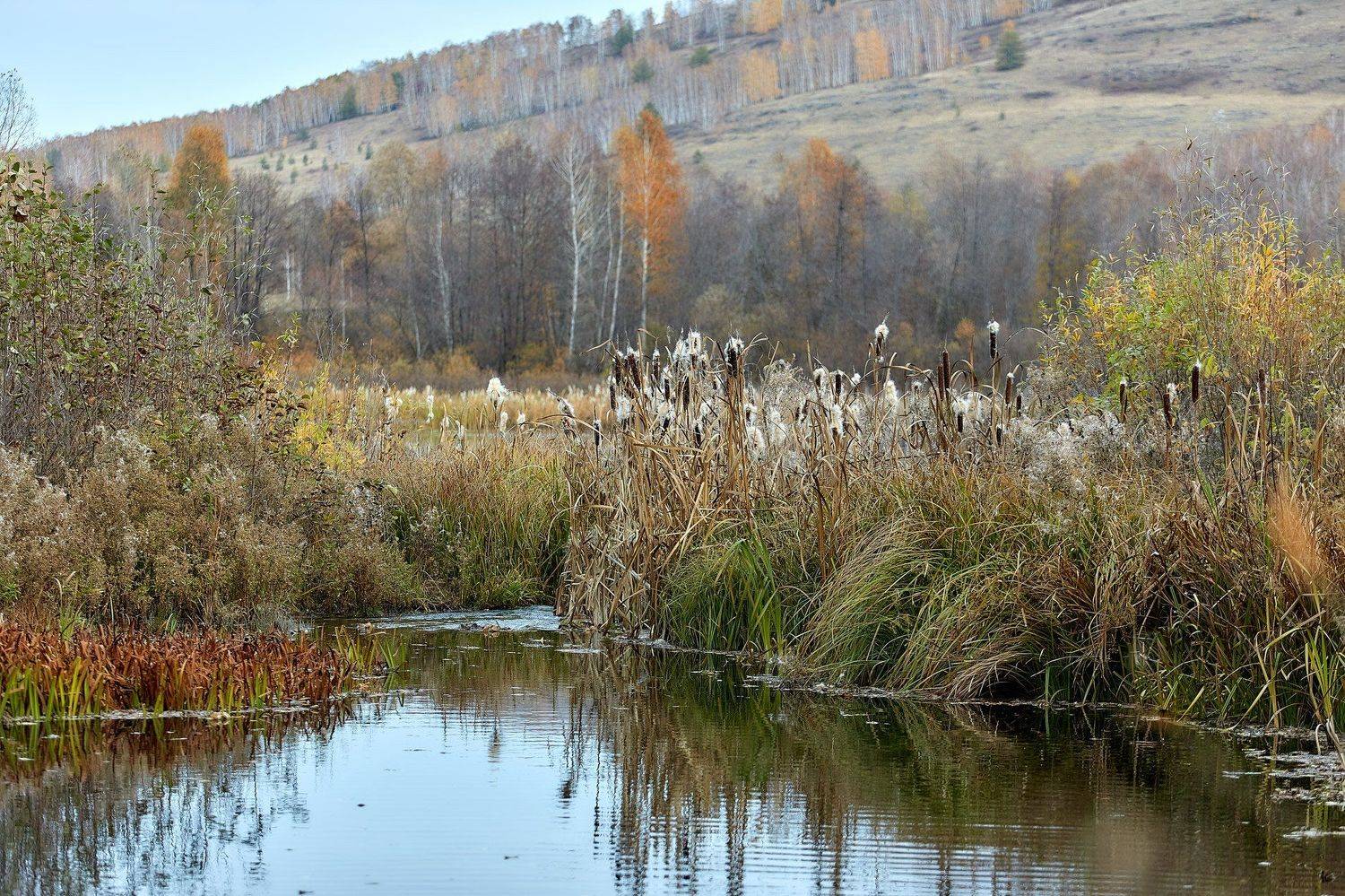 башкирия, южный урал орск новотроицк, Качурин Алексей