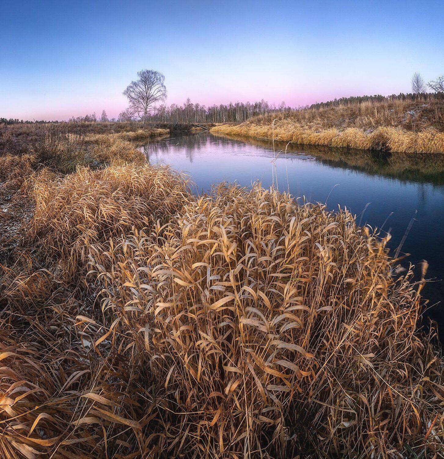 , Николай Андреев