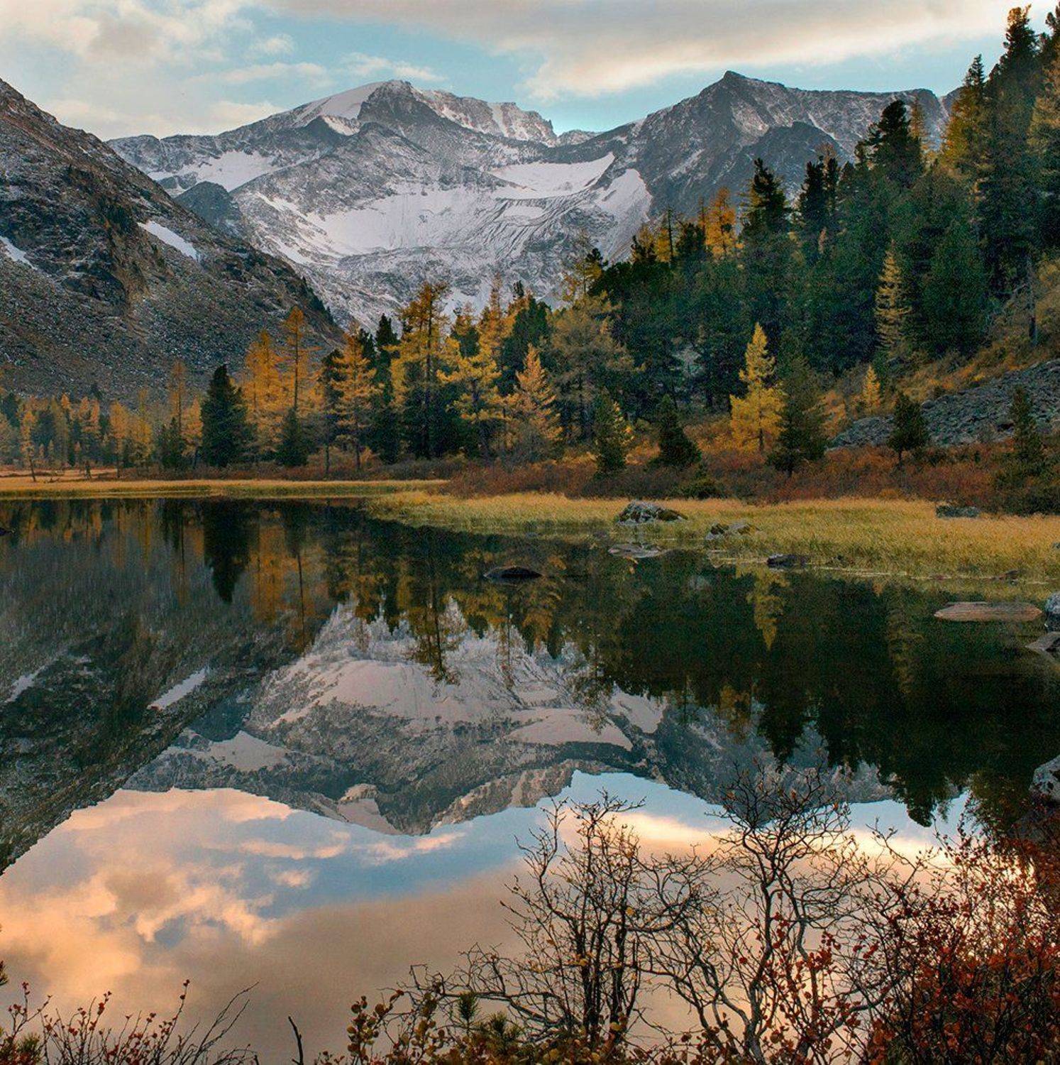 , Алексей Родак