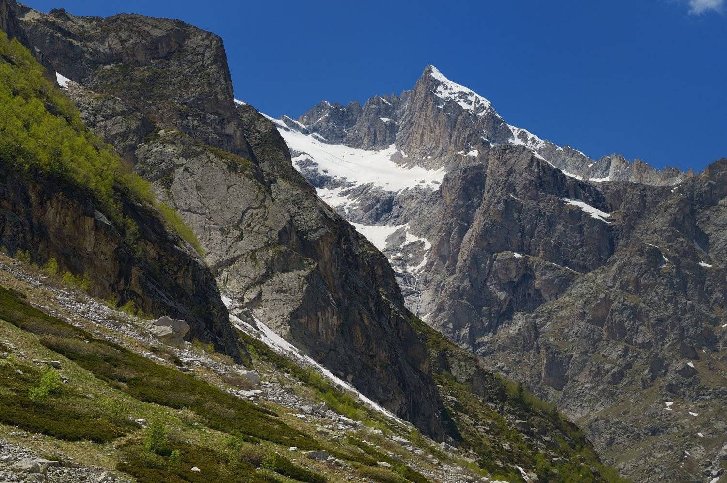 горы лето чиринкол, Александр Жарников