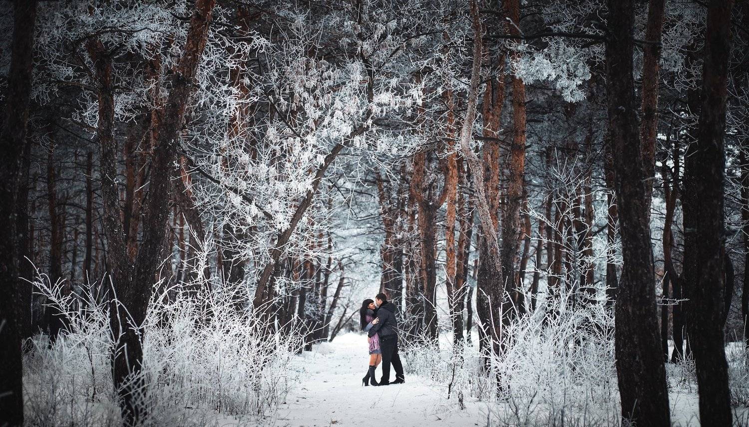 , Алексей Гуляев
