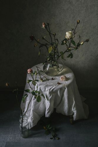 Последние бутоны в этом году