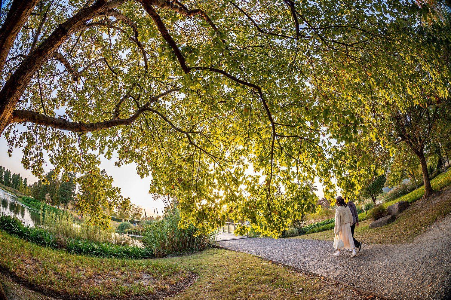 park, landscape, people, autumn, fisheye, Кирина Елизавета