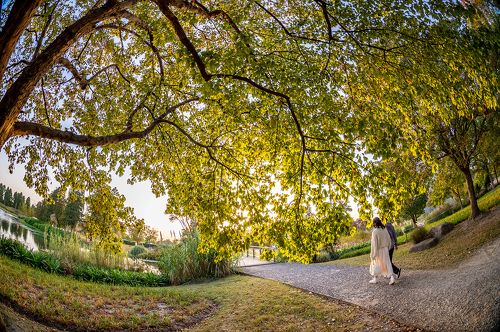 Entering to the autumn