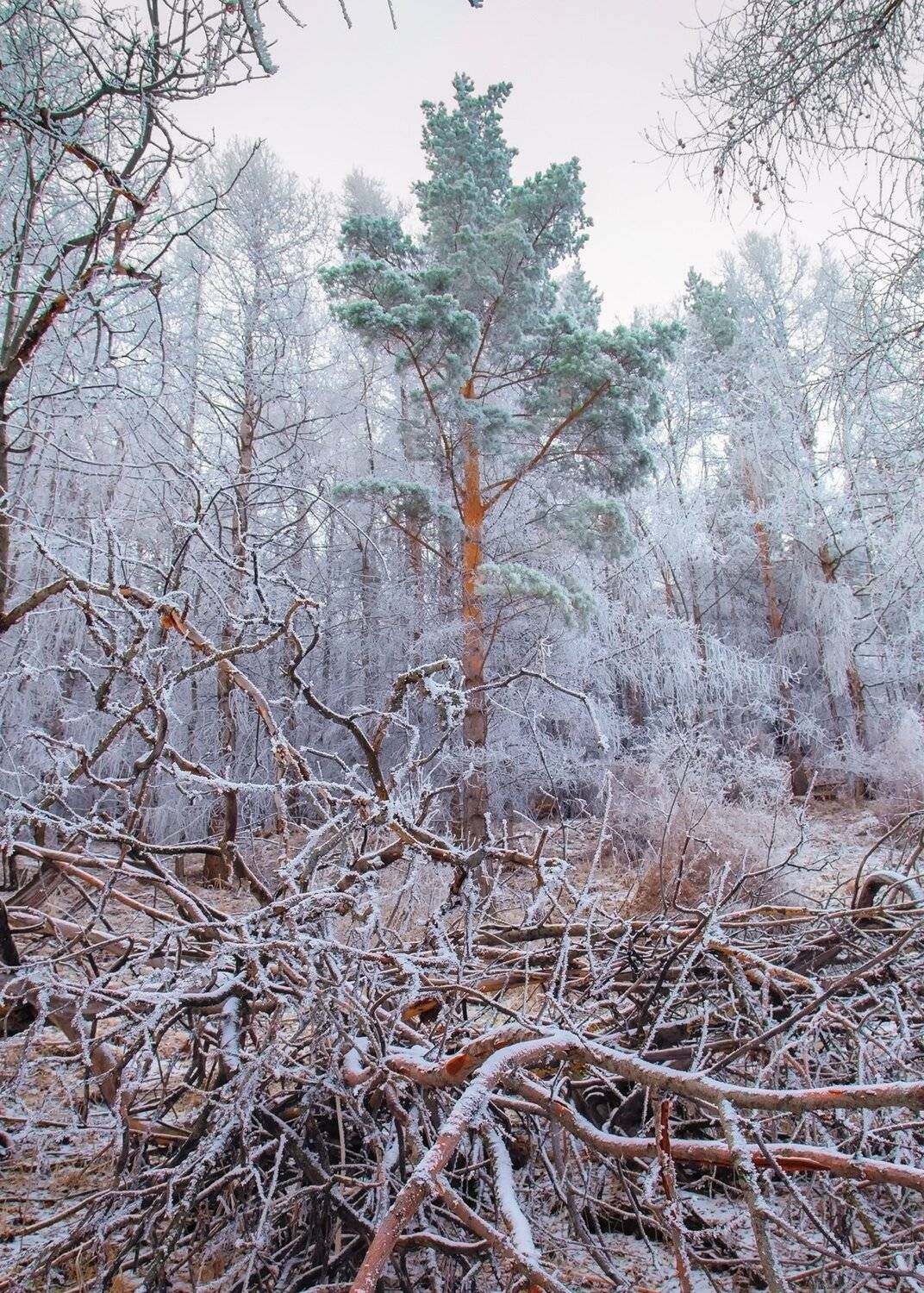 кыргызстан, горы, Элина Магалимова