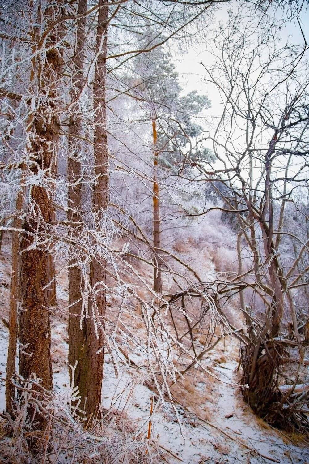 кыргызстан, горы, Элина Магалимова