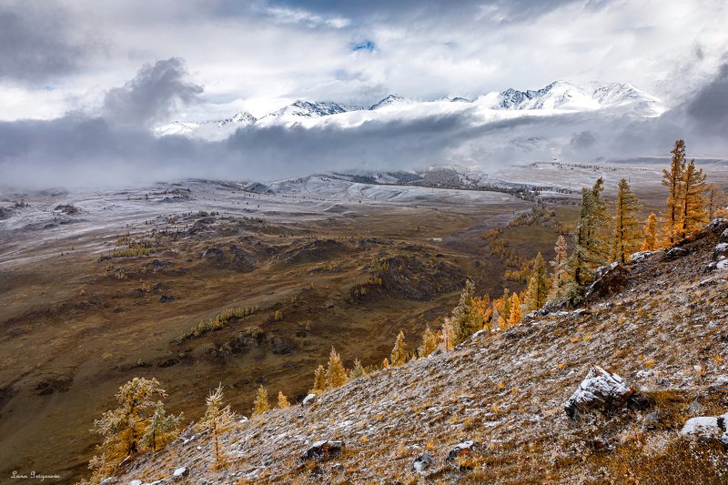 Осень, Алтай, путешествие **** фото превью