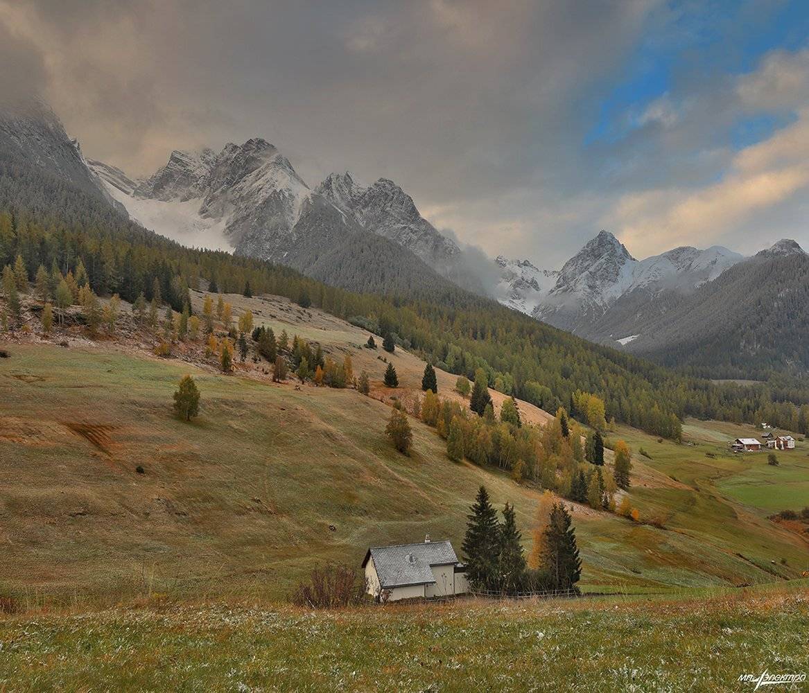 swiss, Матвеев Николай