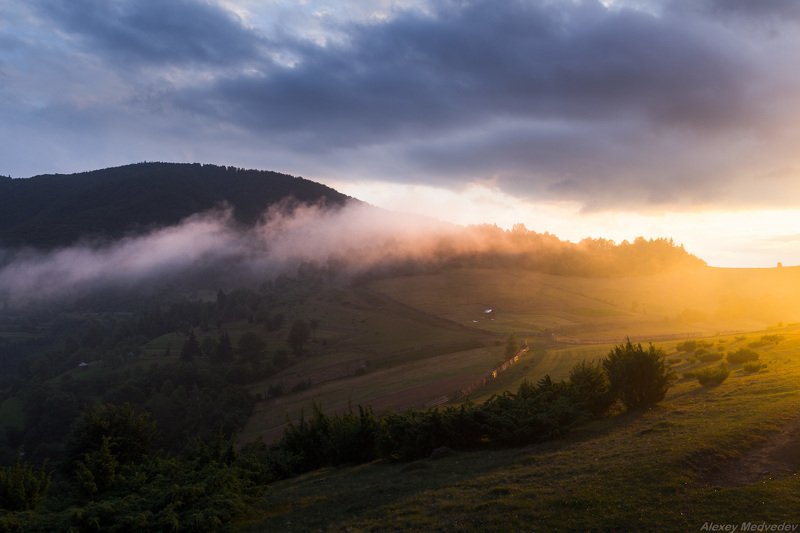 горганы, горы, карпаты, украина, вечер, сумерки, горганы, синевир Вечер на седловие фото превью