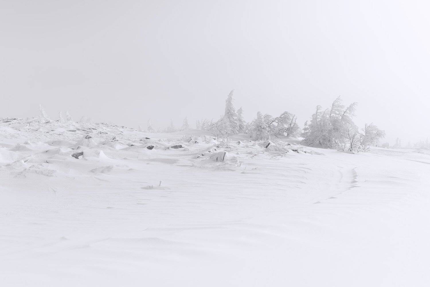 , Андрей Шарапов