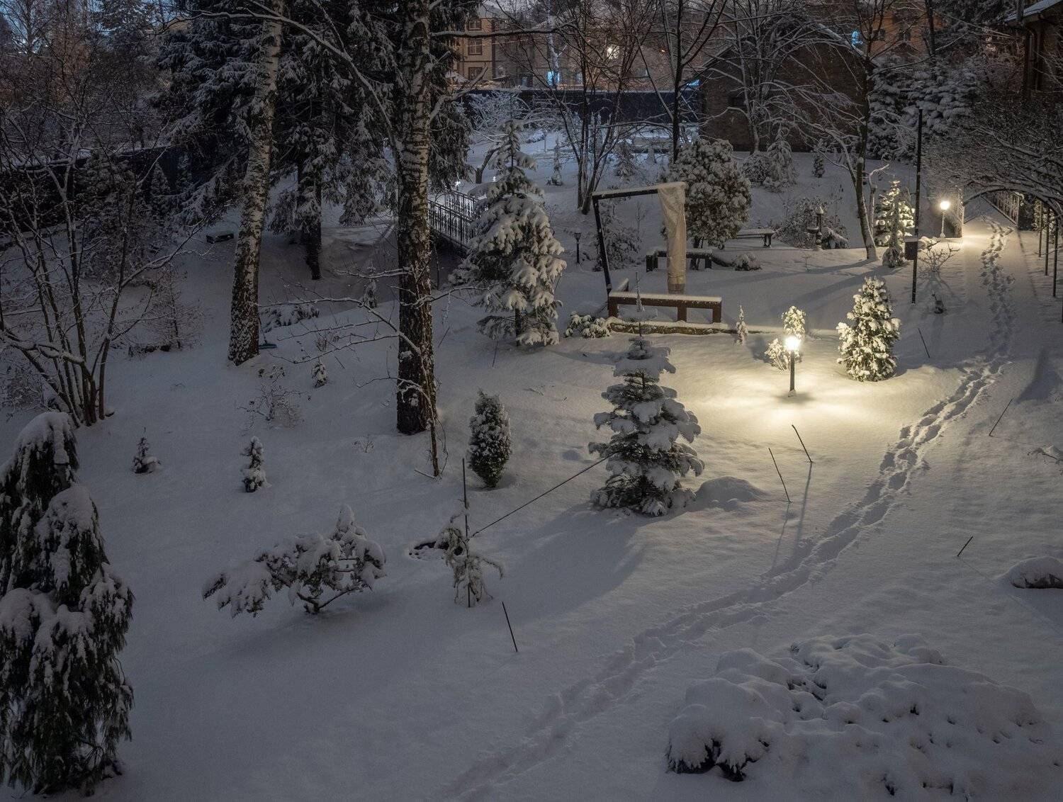 , Курлянцев Алексей