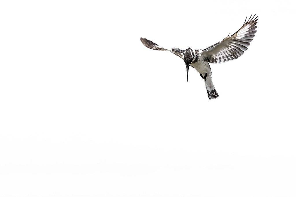 , Сергей Савви