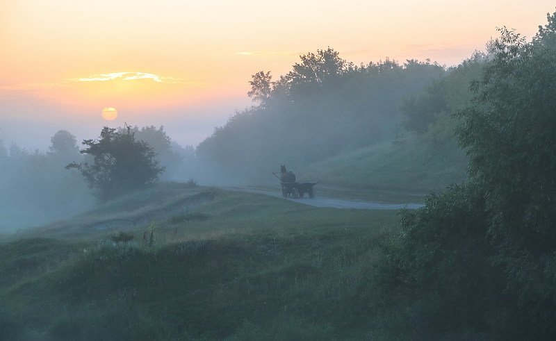 Растворилась тишина фото превью