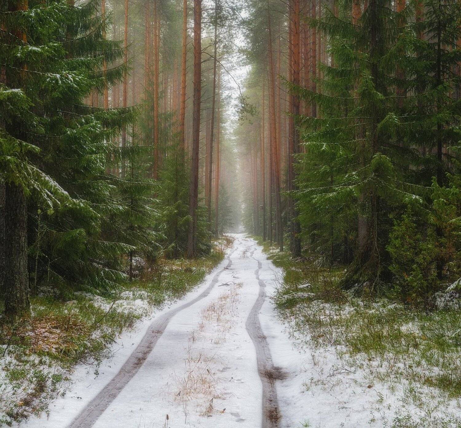 , Устюжанин Михаил