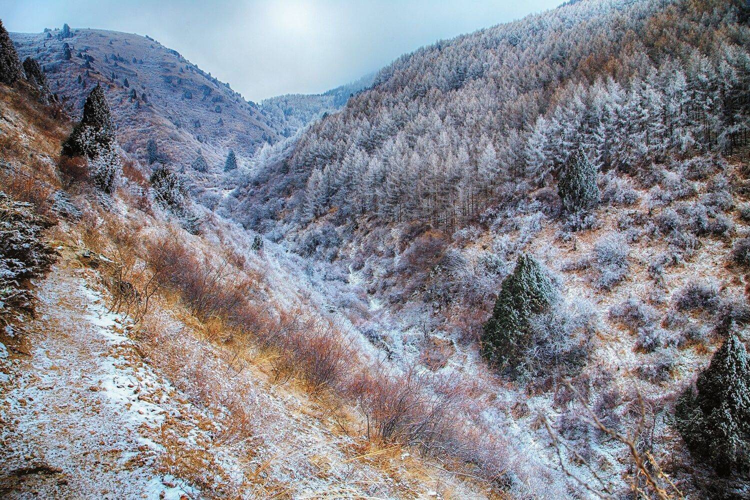 кыргызстан, горы, Элина Магалимова