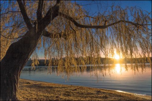  Осенний свет