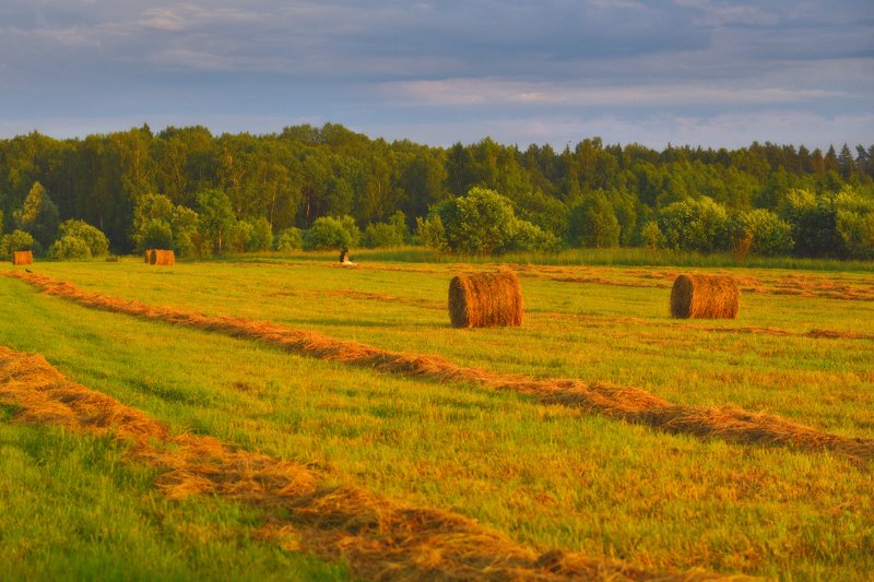 Полет  фото превью