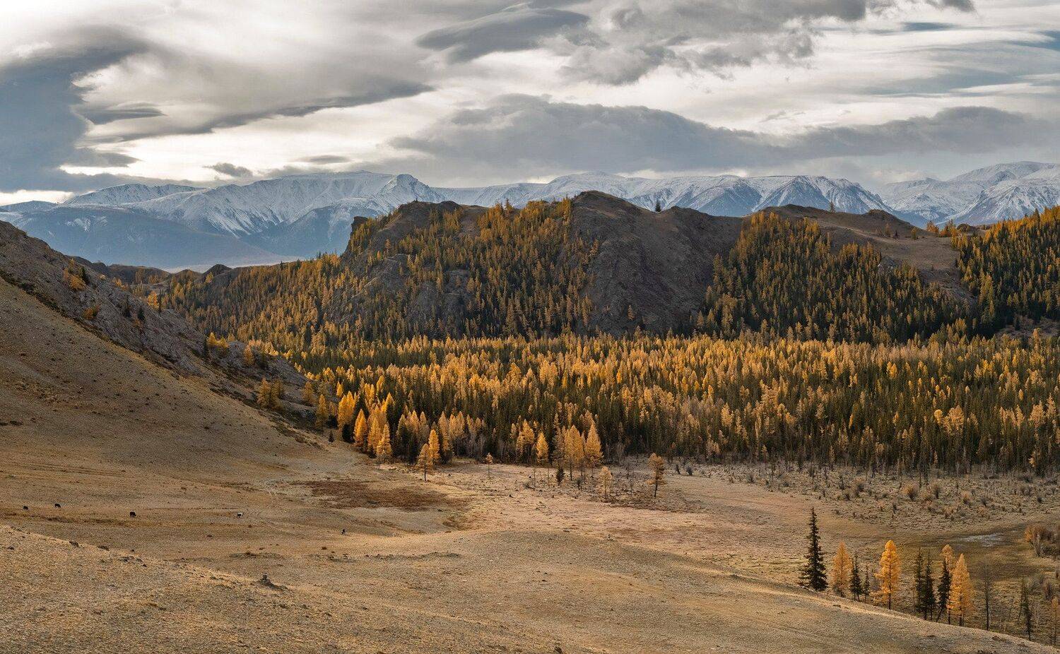 алтай.северо-чуйский хребет., Марина Фомина