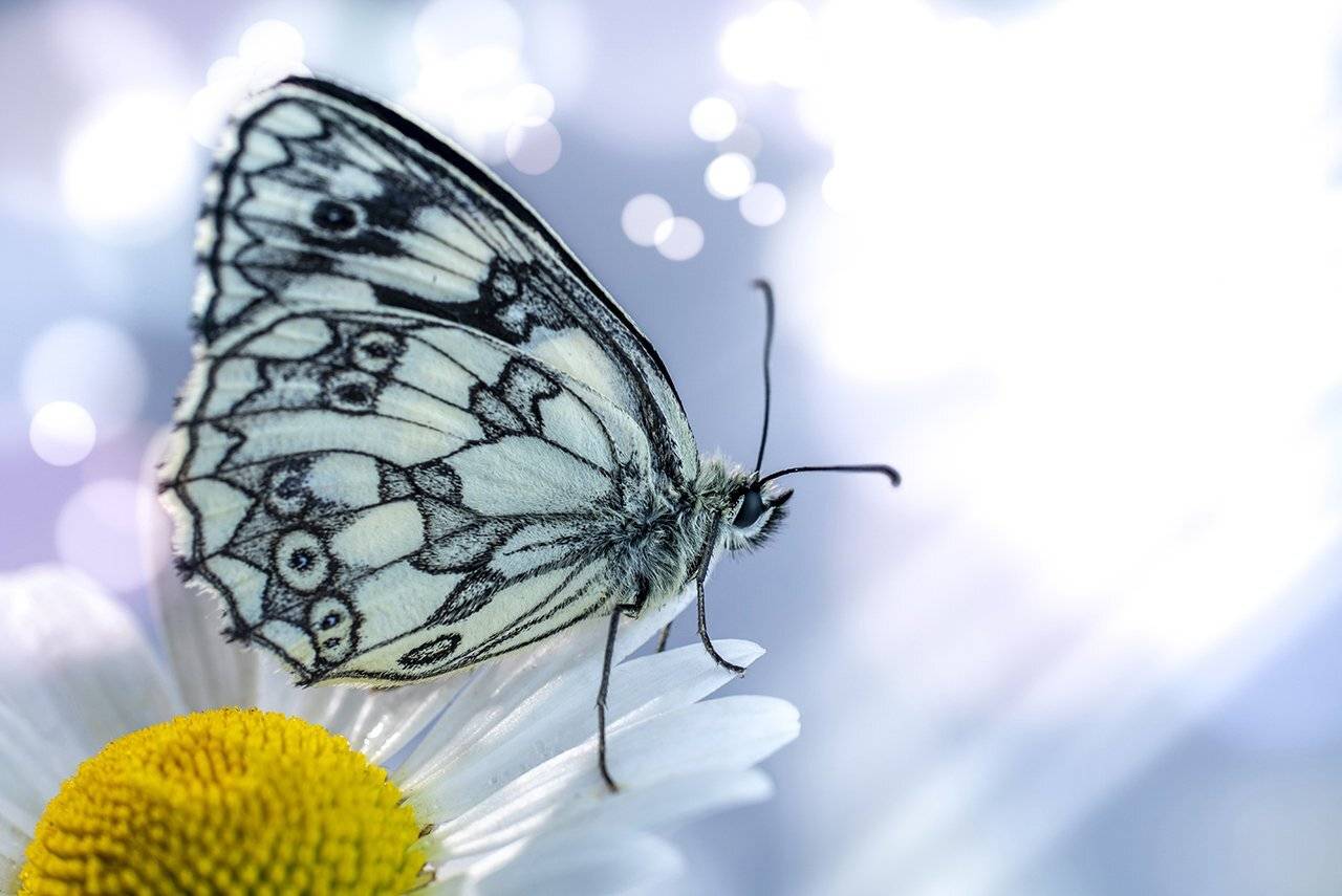 , Игорь Кляхин