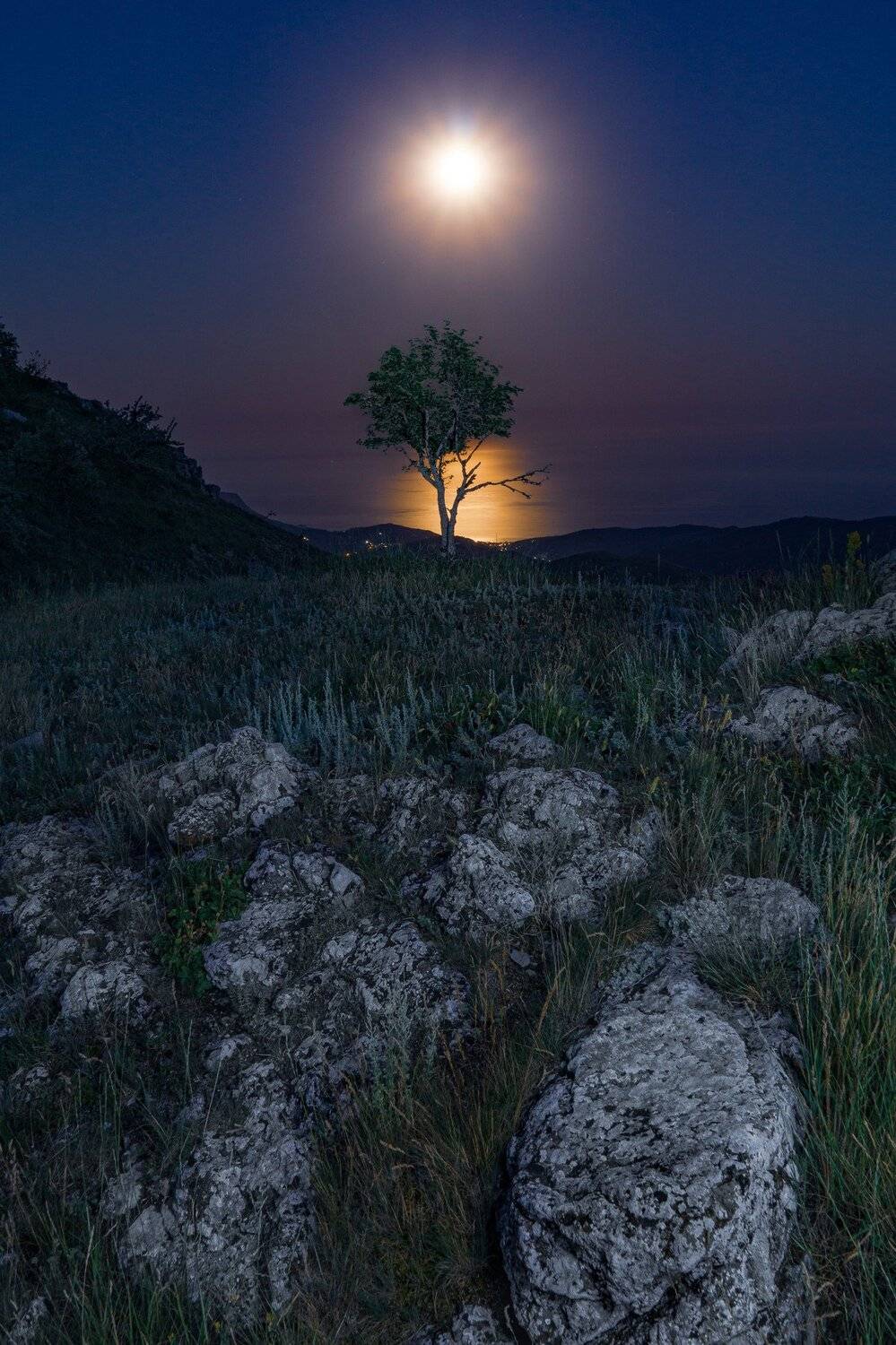 , Андрей Кривцов