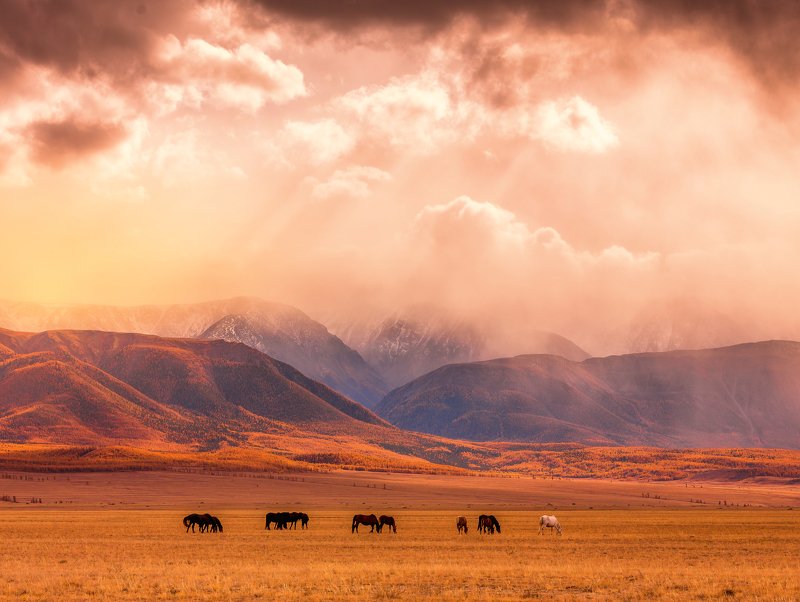 Безмятежность... фото превью