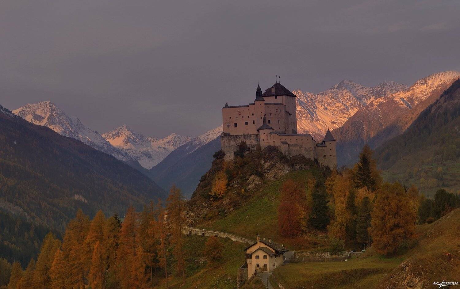 swiss, Матвеев Николай