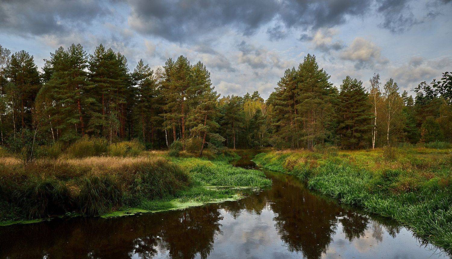 речка нерская, Евгений Гаганов