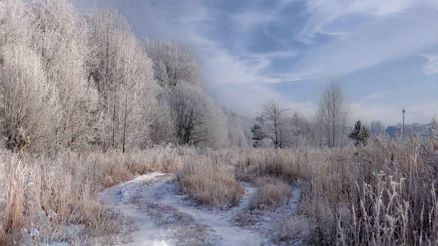 , Марат Кучкаев