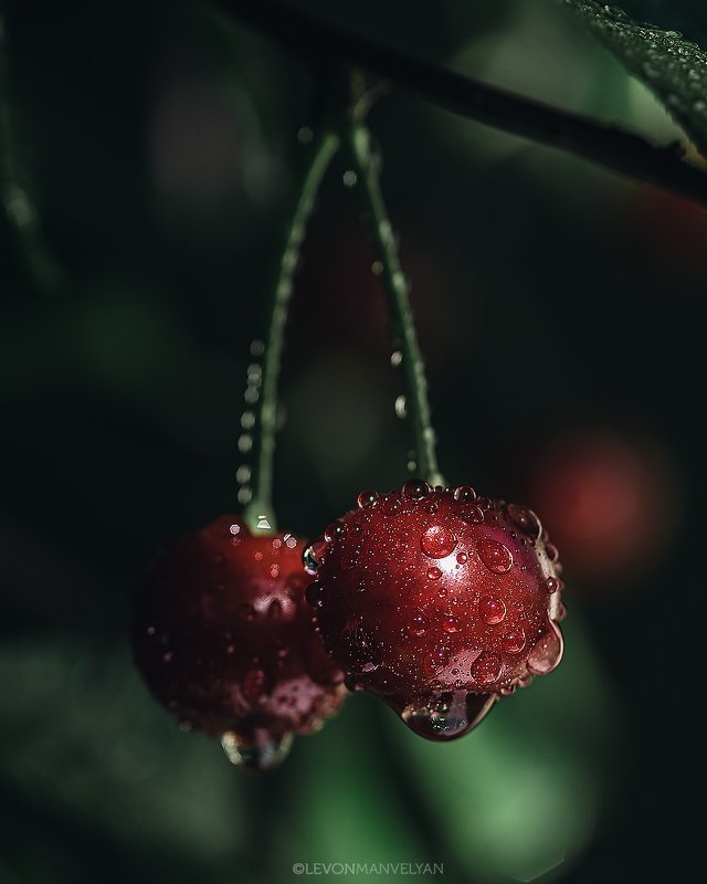 Лето фото превью