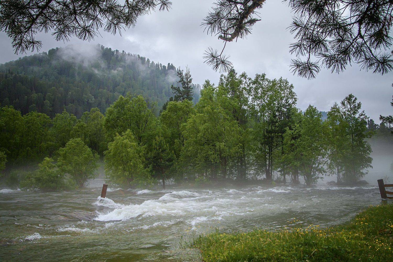 , Любовь Фурс