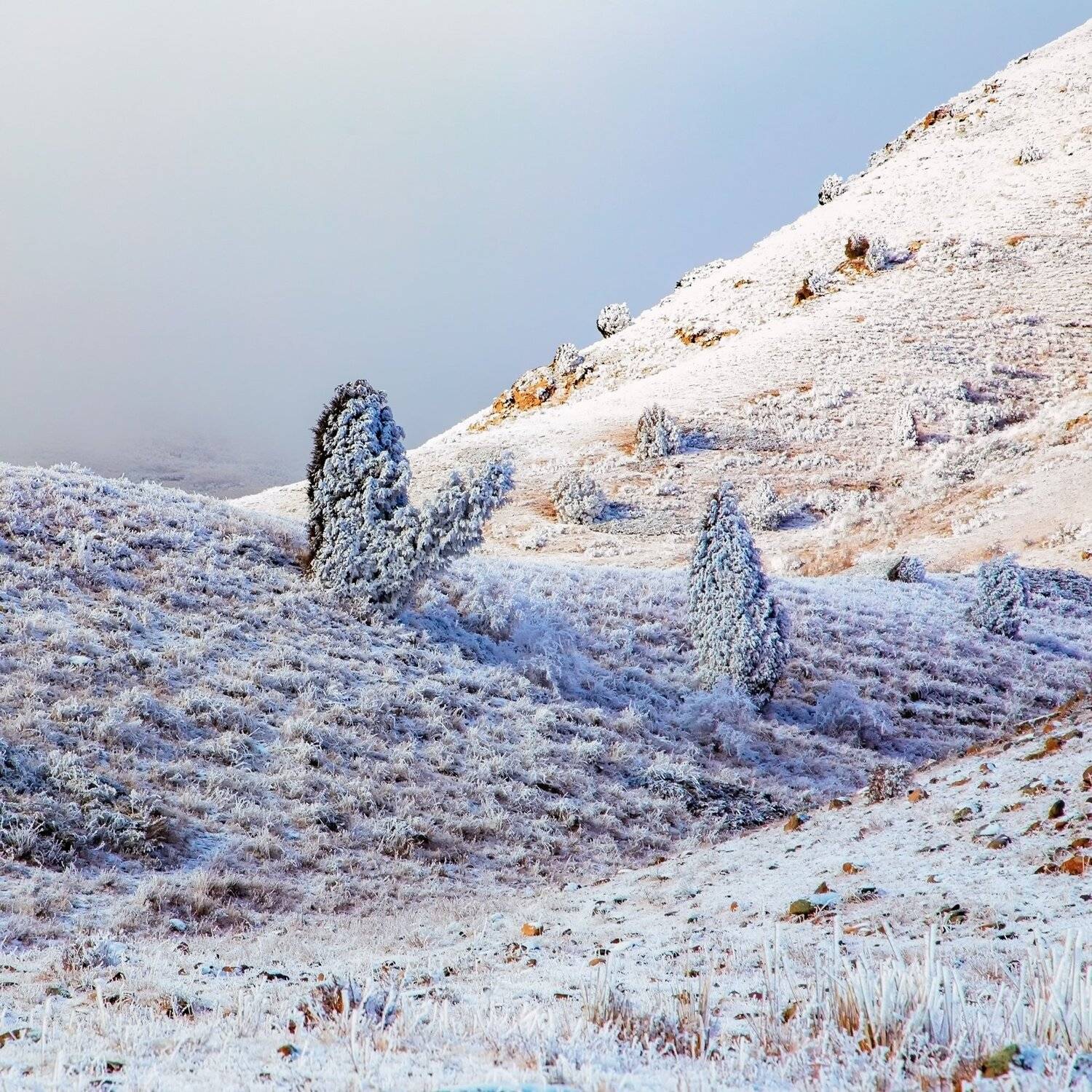 кыргызстан, горы, Элина Магалимова