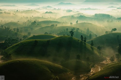 the Layers of Light
