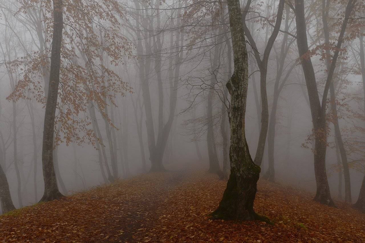 кизиловка, кабардино-балкария, Хасан Журтов