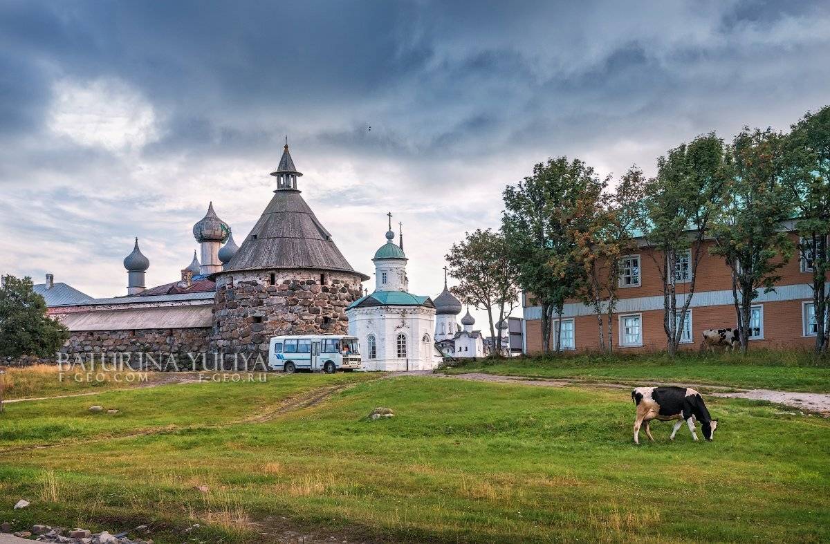 соловки, соловецкие острова, Юлия Батурина