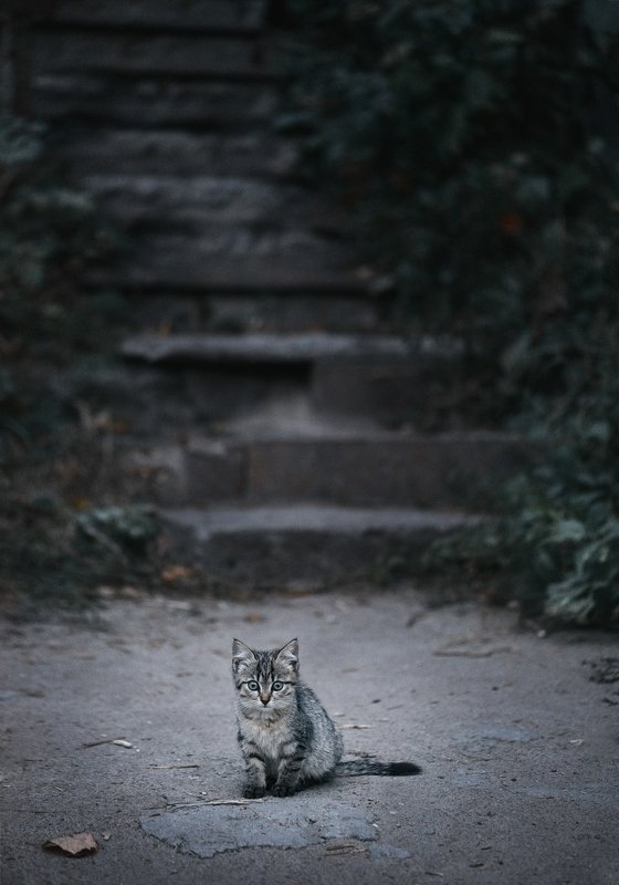 6:30 фото превью