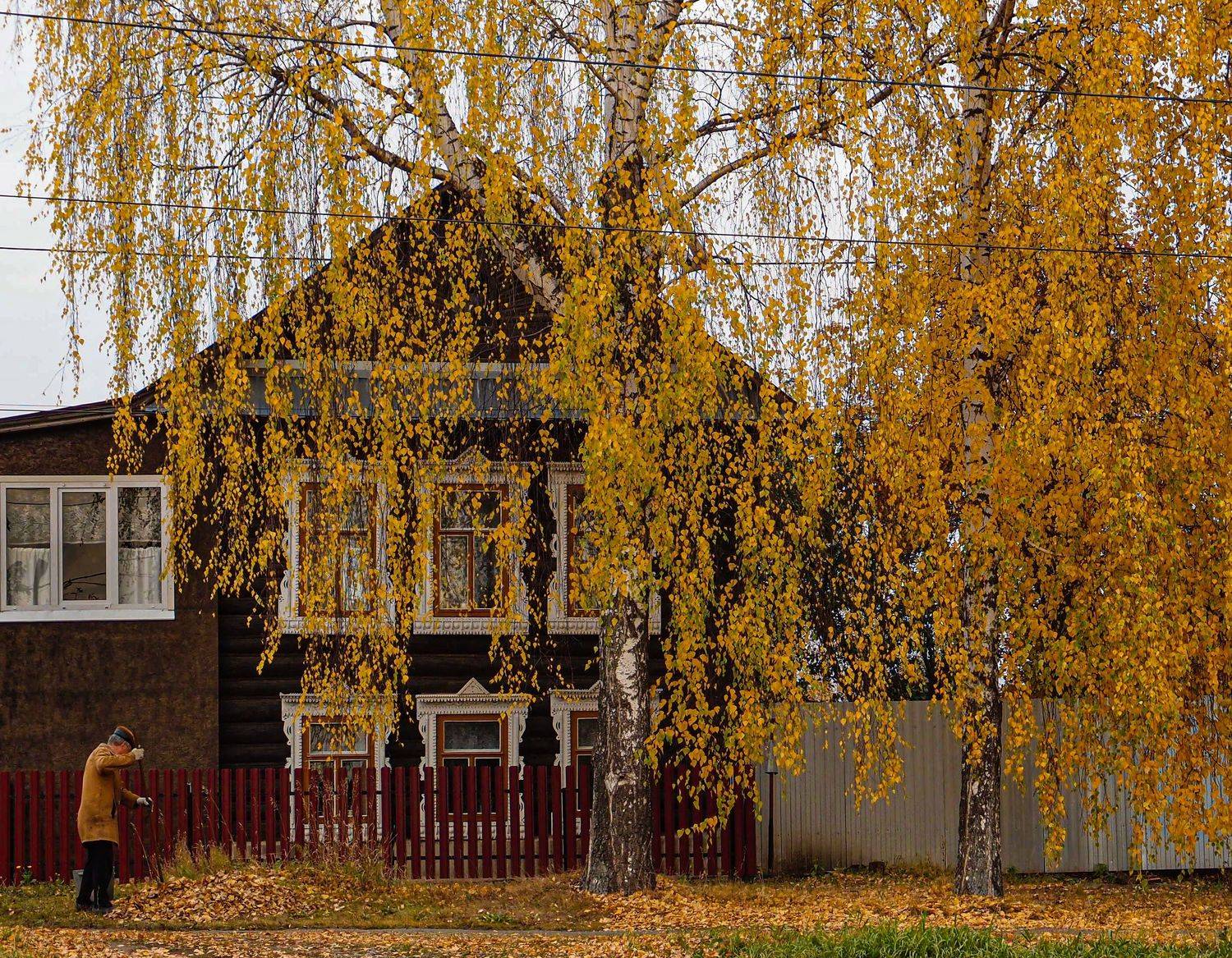, Лариса Лофицкая