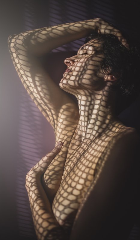 В сети солнца фото превью