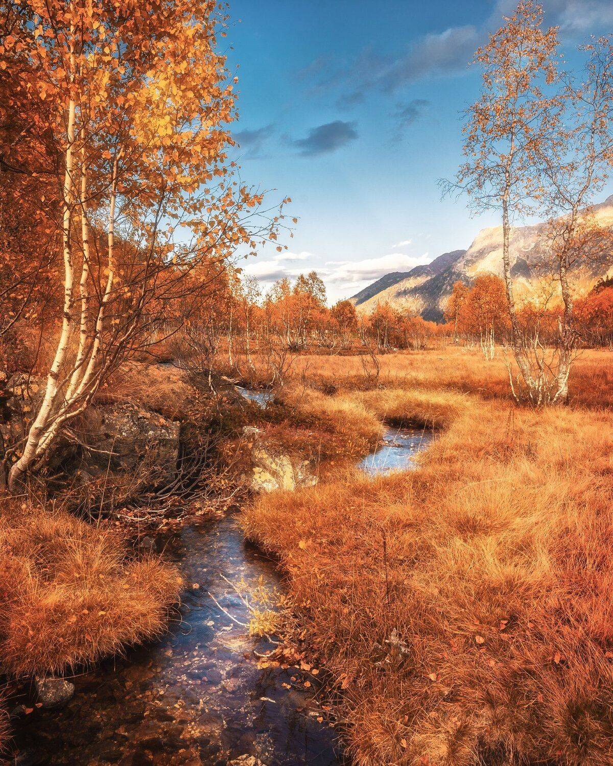 горы, осень, поход, деревья, цвета, дерево, nikon, d610, tamron, оранжевый, жёлтый, Сергей Лукашенко