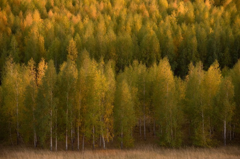 природа, пейзаж, россия, путешествия, осень, татарстан Осенние краски фото превью