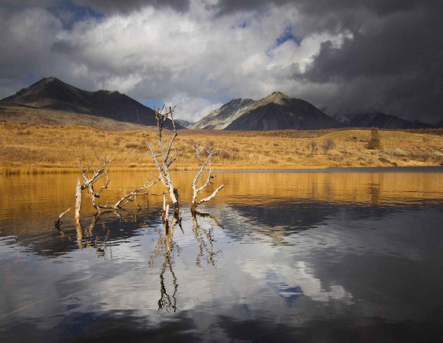 , Алексей Трофимов