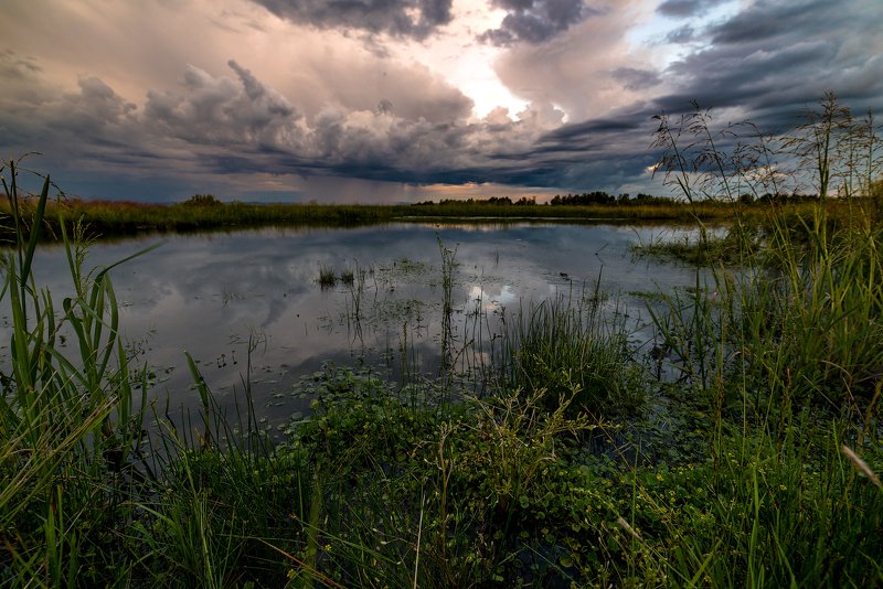 *** фото превью