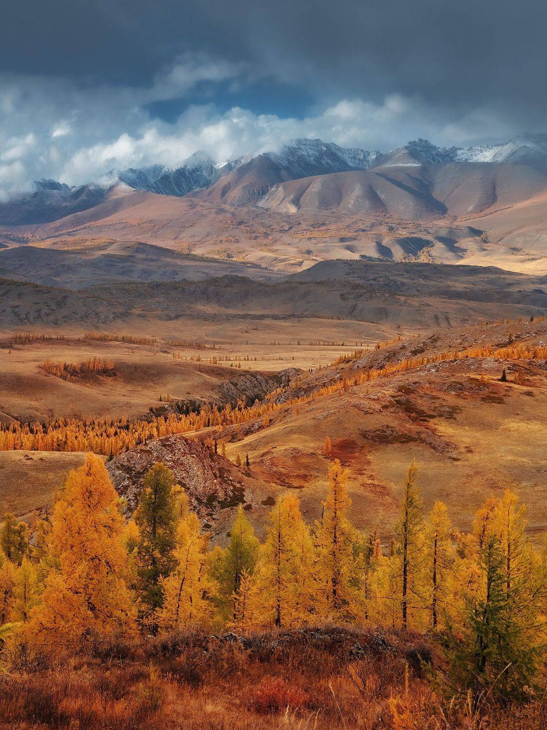 , Андрей Родионов